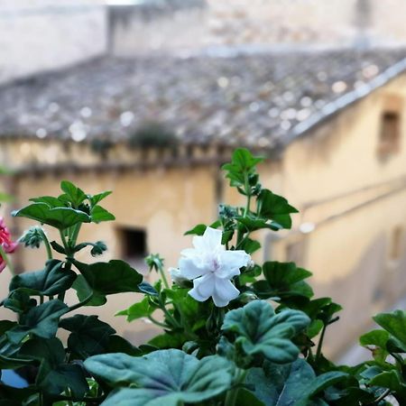 Al-Zabut Bed & Breakfast Sambuca di Sicilia Bagian luar foto
