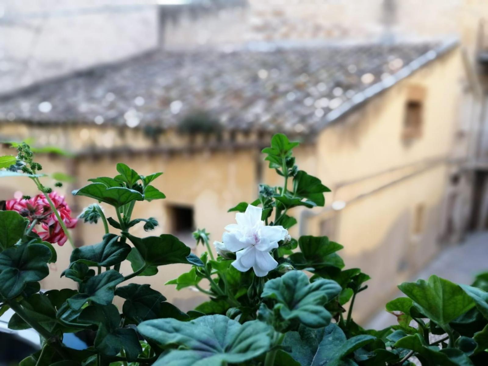 Al-Zabut Bed & Breakfast Sambuca di Sicilia Bagian luar foto
